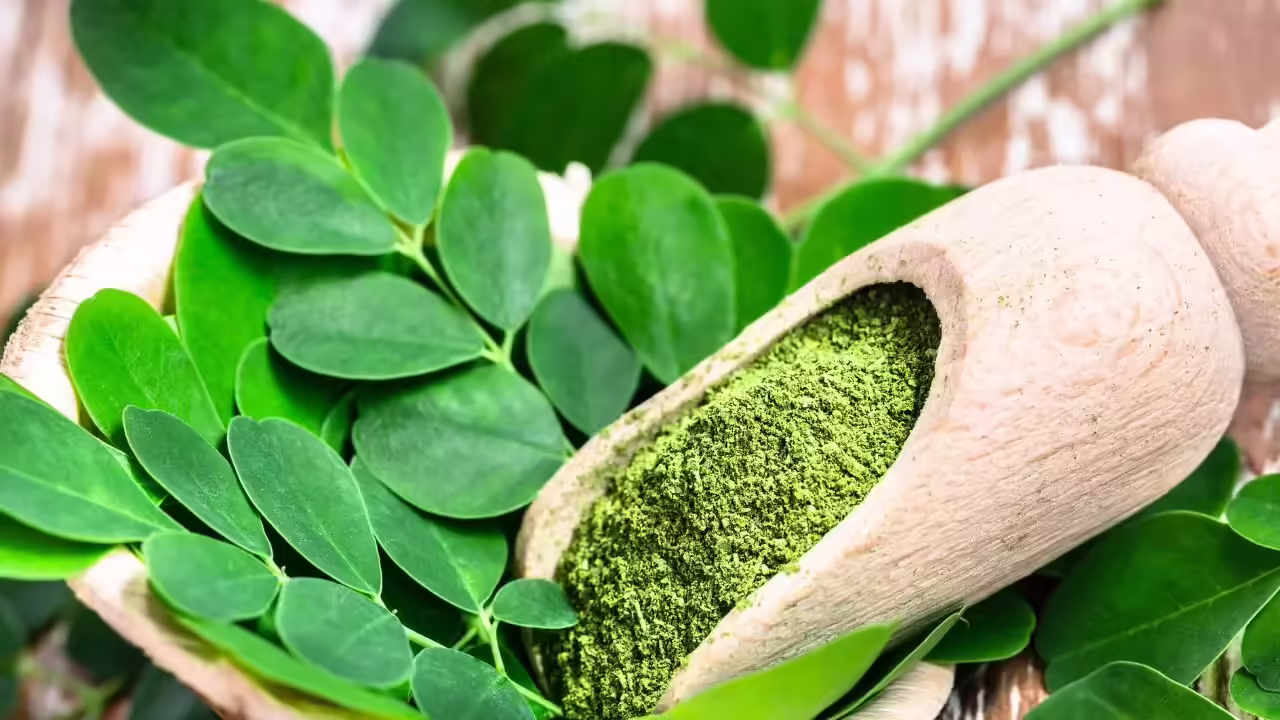 Moringa Powder Image 2